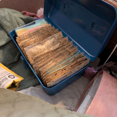 Agnes - Afgooey, (The Seed Fair), 28%, 30/70, (71d/74d/7-9w)459w/ growlog timeline photo