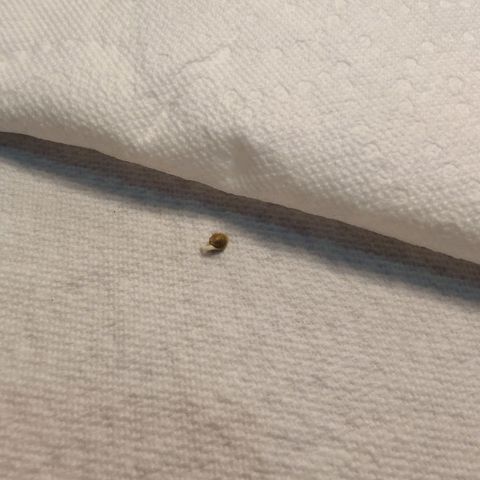 Donny Burger  growlog timeline photo