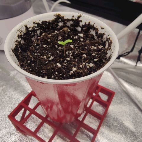 Donny Burger  growlog timeline photo