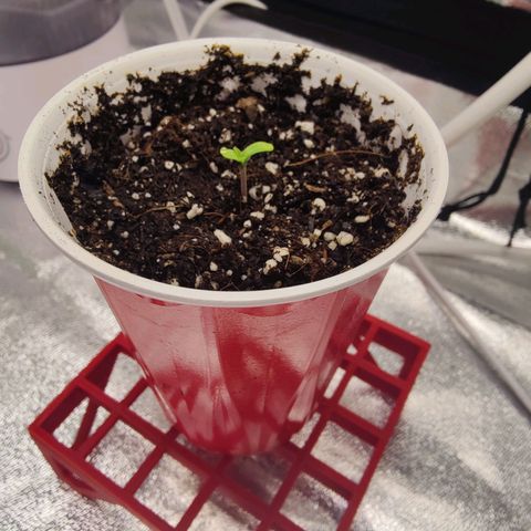 Donny Burger  growlog timeline photo