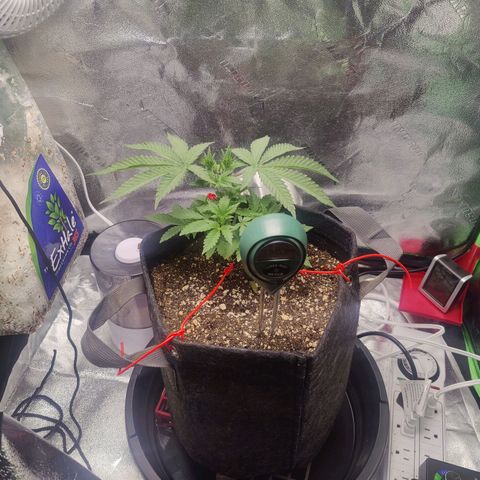 Donny Burger  growlog timeline photo