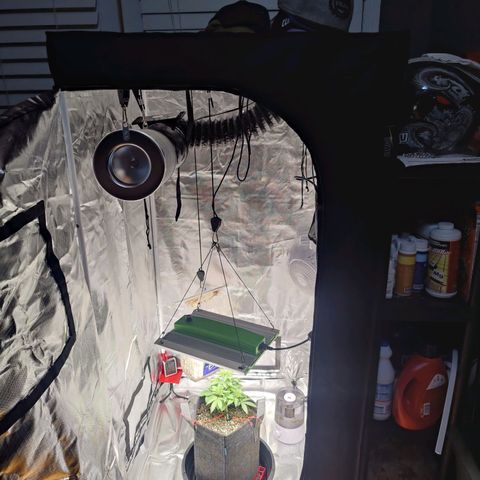 Donny Burger  growlog timeline photo