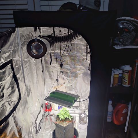 Donny Burger  growlog timeline photo