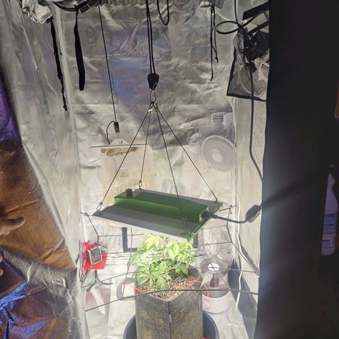 Donny Burger  growlog timeline photo