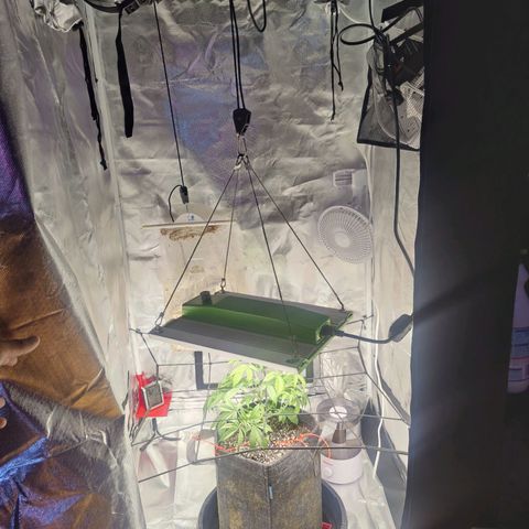 Donny Burger  growlog timeline photo