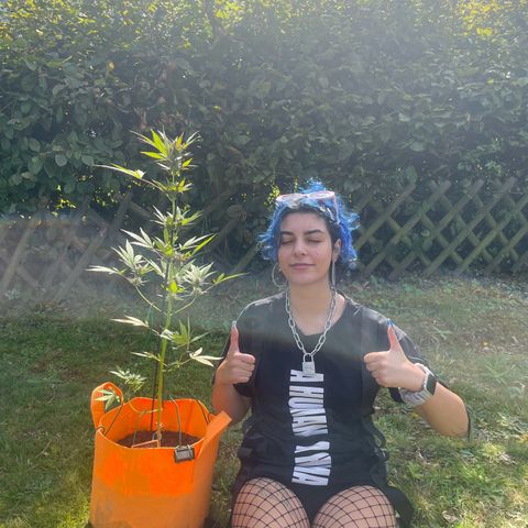 Tinas Pflanze growlog timeline photo