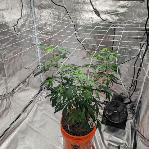 Darwin's Stash growlog timeline photo