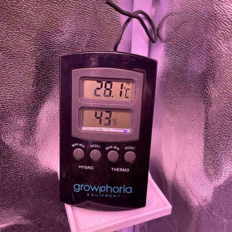 North Thunderfuck growlog timeline photo