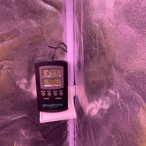 North Thunderfuck growlog timeline photo