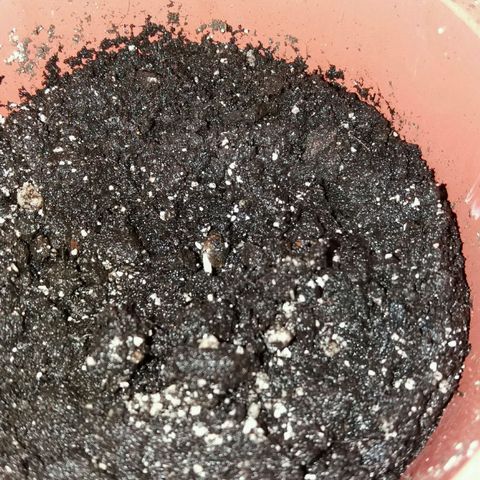 Любимка growlog timeline photo