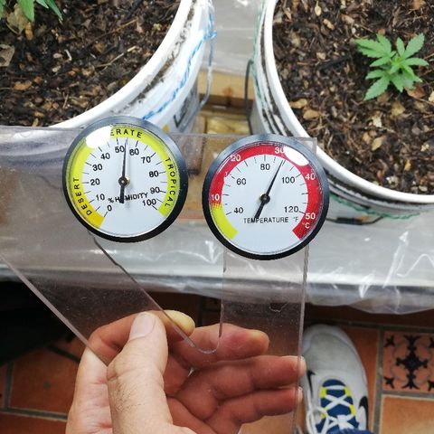 Mark 1 ( Bonsái Samurái )  growlog timeline photo