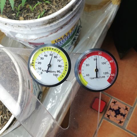 Mark 1 ( Bonsái Samurái )  growlog timeline photo