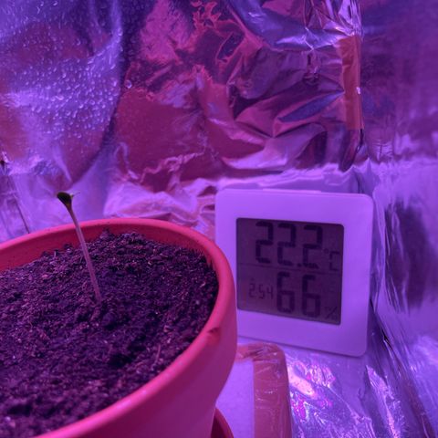 Sensi Skunk growlog photo: Ventilator