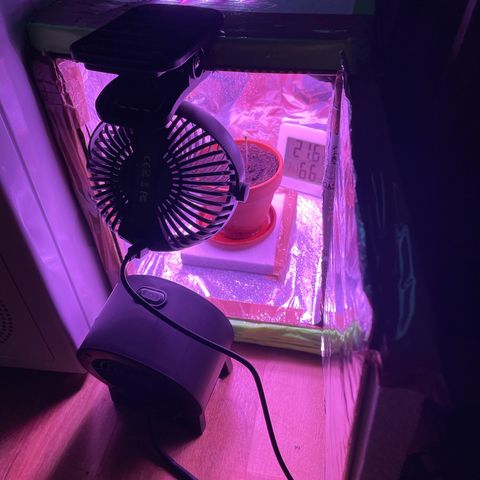 Sensi Skunk growlog photo: Ventilator