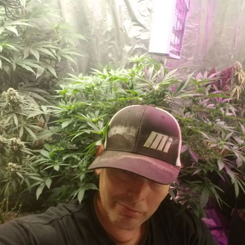 Gelato auto  #3 growlog timeline photo