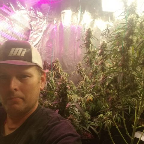 Gelato auto  #3 growlog timeline photo