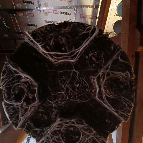 Mack&Crack growlog timeline photo