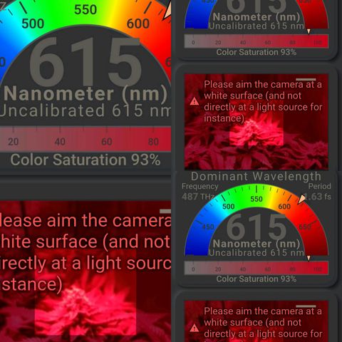 Mack&Crack growlog timeline photo