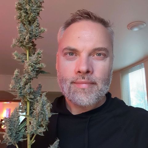 Grape Grogu  growlog timeline photo