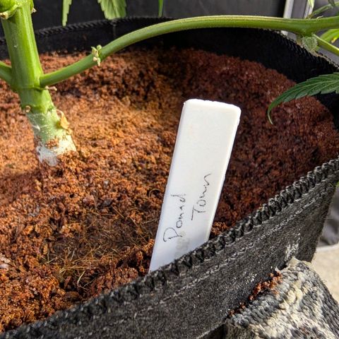 Powndtown growlog timeline photo