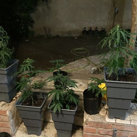 Las nenas de la jacinto growlog timeline photo