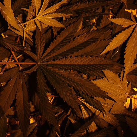 Las nenas de la jacinto growlog timeline photo