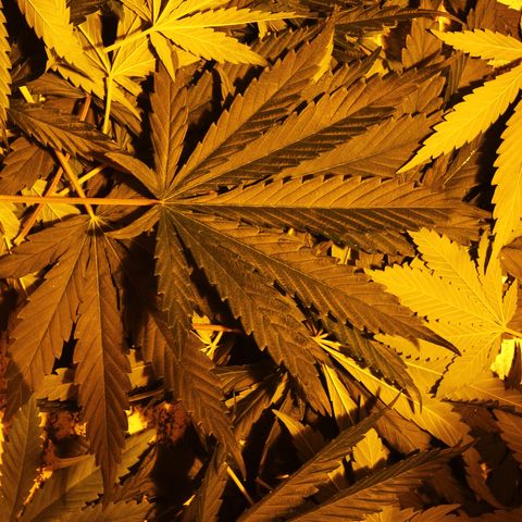 Las nenas de la jacinto growlog timeline photo