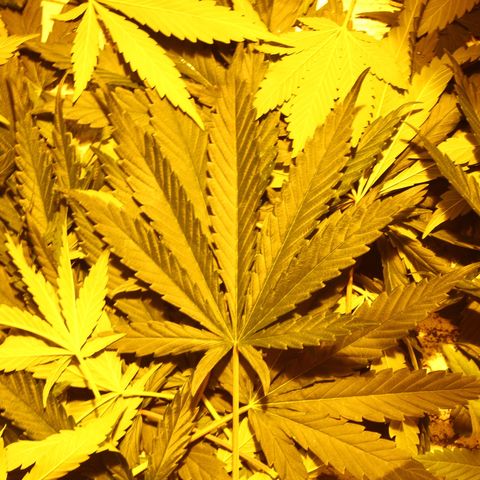 Las nenas de la jacinto growlog timeline photo