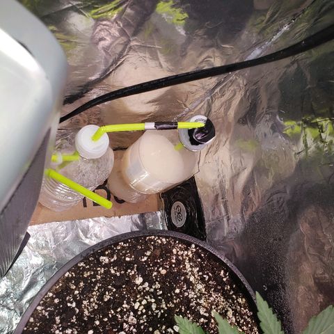 Bruce Banner Auto growlog photo: With co2 bottles in