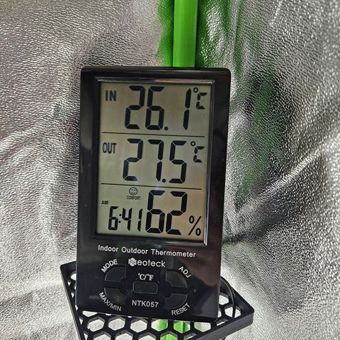 Zkittlez growlog photo: Temperatur und Luftfeuchtigkeit 