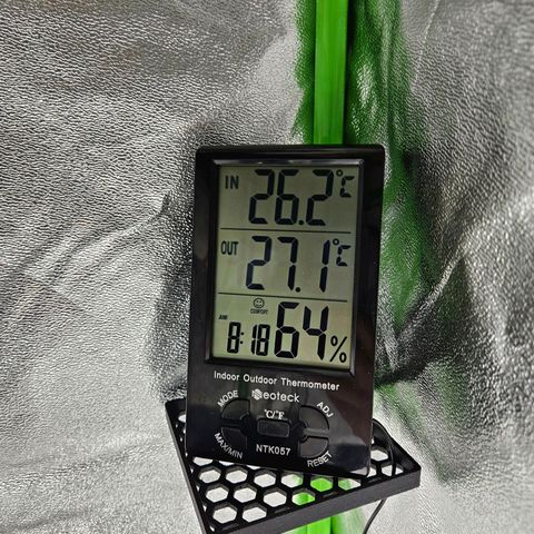 Zkittlez growlog photo: Messwerte: Temperatur und Luftfeuchtigkeit 