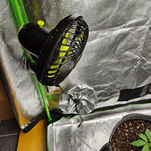 Zkittlez growlog photo: Setup mit zwei High Pro+ Ventilatoren ausgestattet
