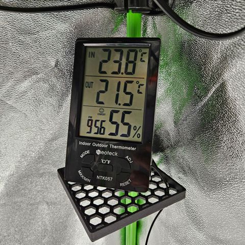 Zkittlez growlog photo: Temperatur und Luftfeuchtigkeit 