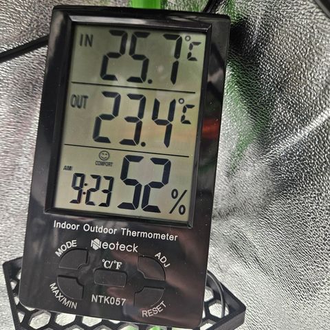 Zkittlez growlog photo: Temperatur und Luftfeuchtigkeit 