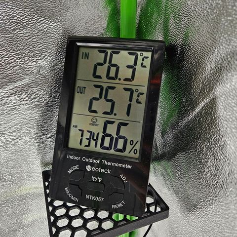 Zkittlez growlog photo: Temperatur und Luftfeuchtigkeit 