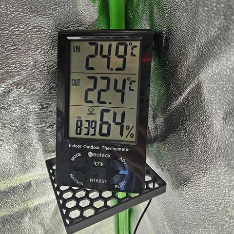 Zkittlez growlog photo: Temperatur und Luftfeuchtigkeit 