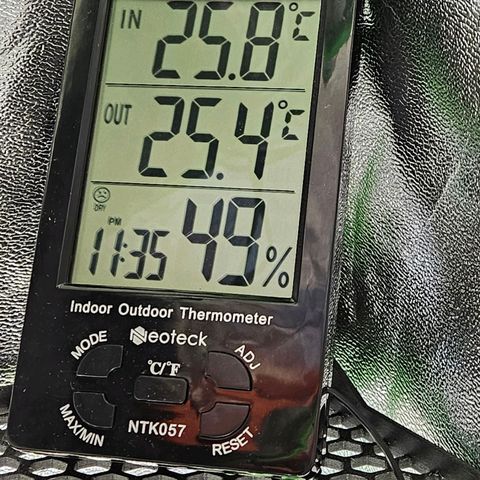 Zkittlez growlog timeline photo