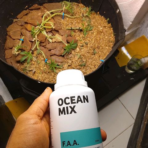Botafumeiros growlog photo: ACHO QUE EXAGEREI NO MANEJO