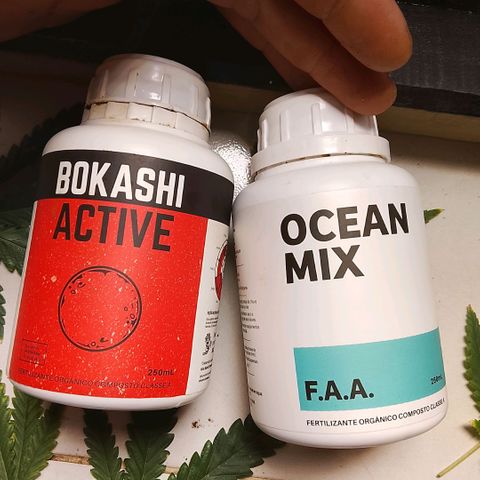 Botafumeiros growlog photo: podas + rega de 3.5L com bokashi e ocean mix.