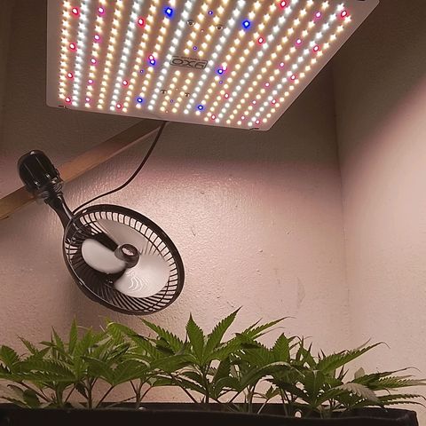Botafumeiros growlog photo: ja começou a esticar... 
