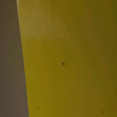 Botafumeiros growlog photo: esse inseto apareceu, achei melhor aplicar um repelente.