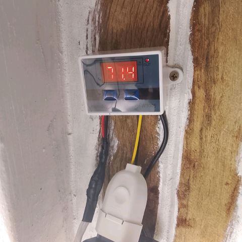 Botafumeiros growlog timeline photo
