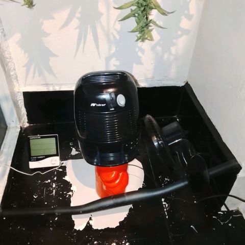 Botafumeiros growlog photo: satisfação!