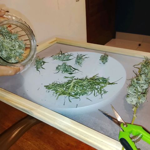 Botafumeiros growlog timeline photo
