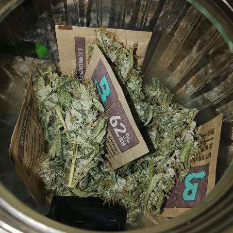 Botafumeiros growlog timeline photo