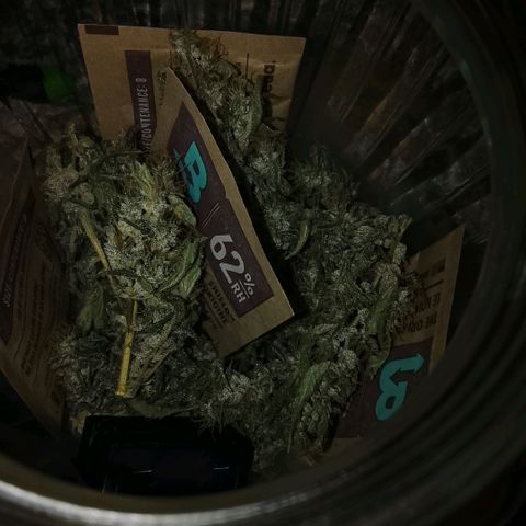 Botafumeiros growlog timeline photo