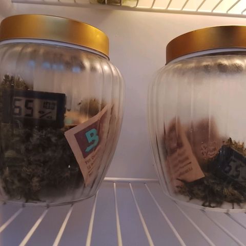 Botafumeiros growlog timeline photo