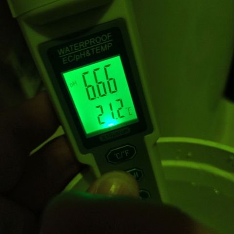 Wedding Cake 🍰 growlog timeline photo