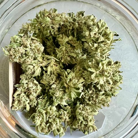 HulkBerry Automatic growlog timeline photo
