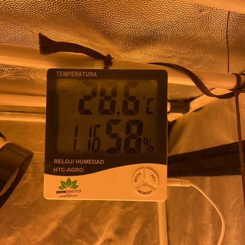 Fruit Spirit growlog timeline photo